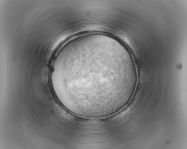 X0000091591067200709051117