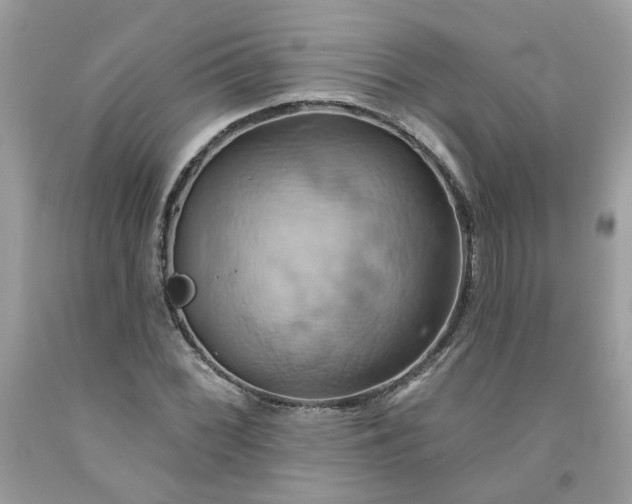 X0000091591068200709051117