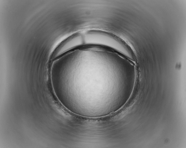 X0000091591069200709051117