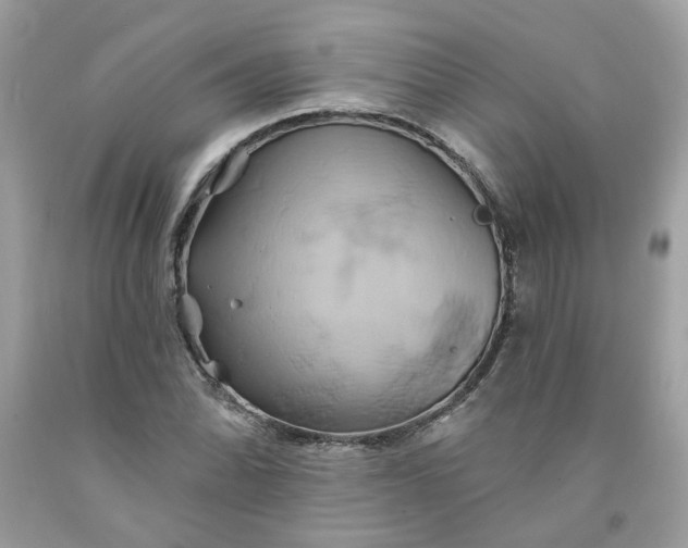 X0000091591070200709051117