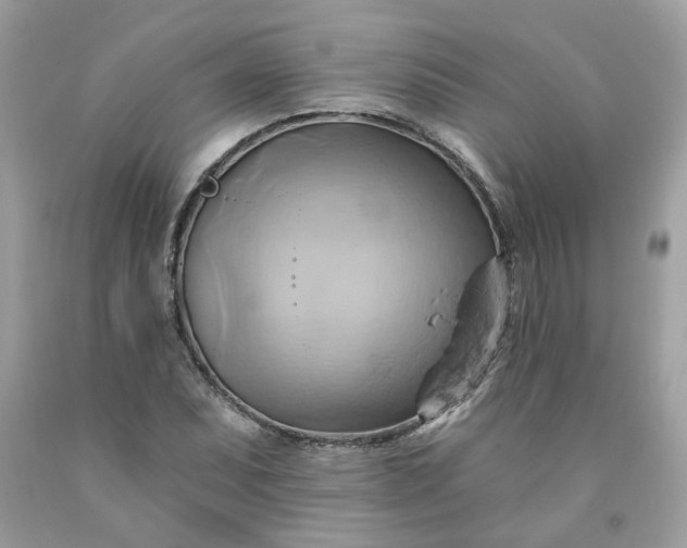 X0000091591071200709051117