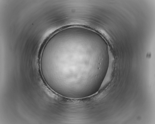 X0000091591072200709051117