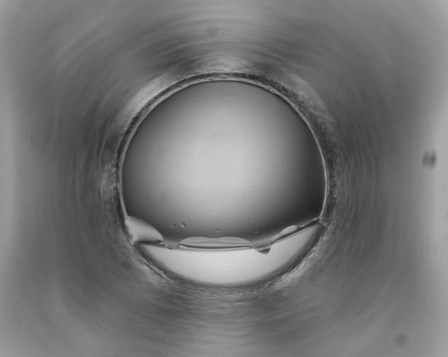 X0000091591073200709051117