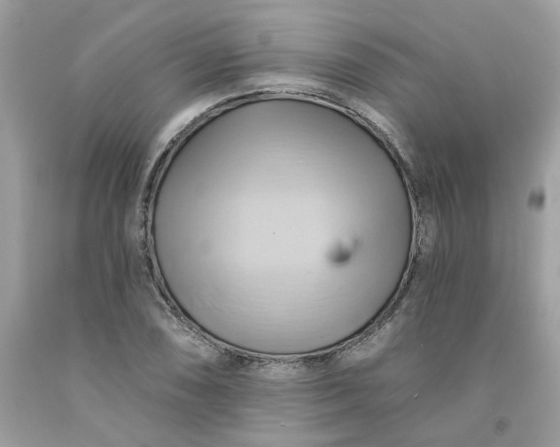 X0000091591074200709051117