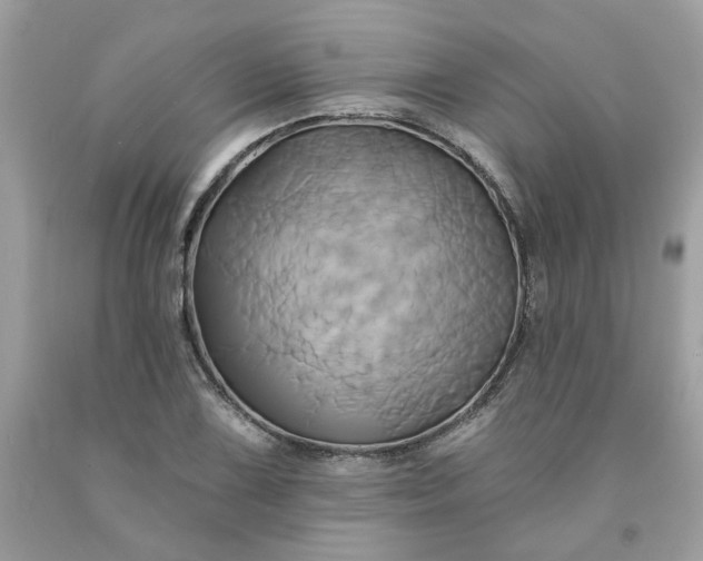 X0000091591075200709051117