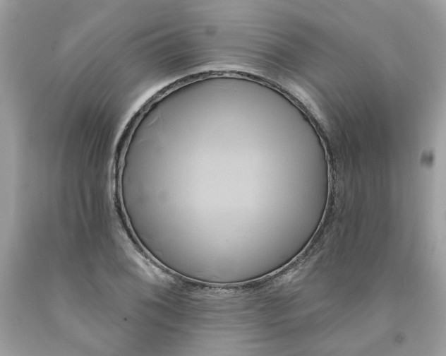 X0000091591076200709051117