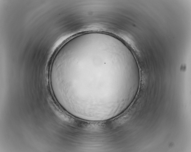 X0000091591078200709051117