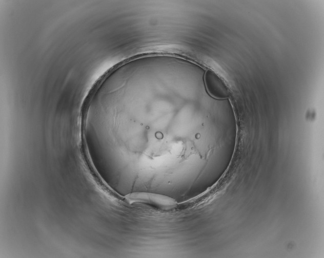 X0000091591079200709051117