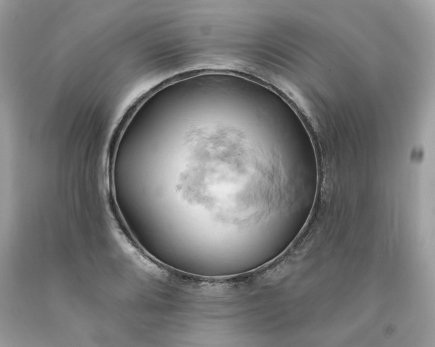 X0000091591080200709051117
