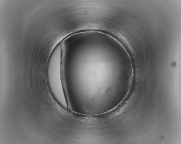 X0000091591081200709051117