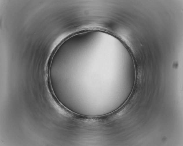 X0000091591082200709051117