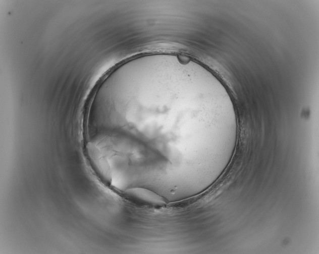 X0000091591083200709051117