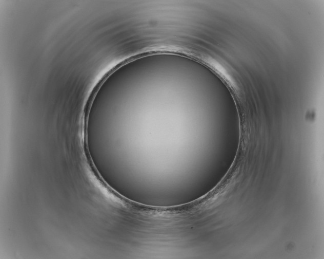 X0000091591084200709051117