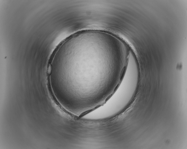 X0000091591085200709051117