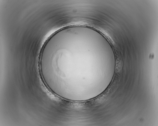 X0000091591086200709051117