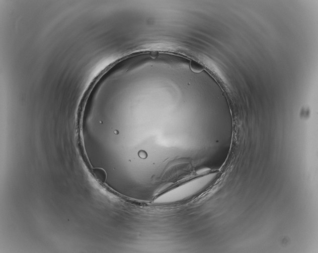 X0000091591087200709051117