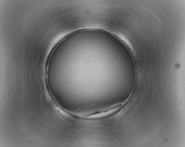X0000091591088200709051117