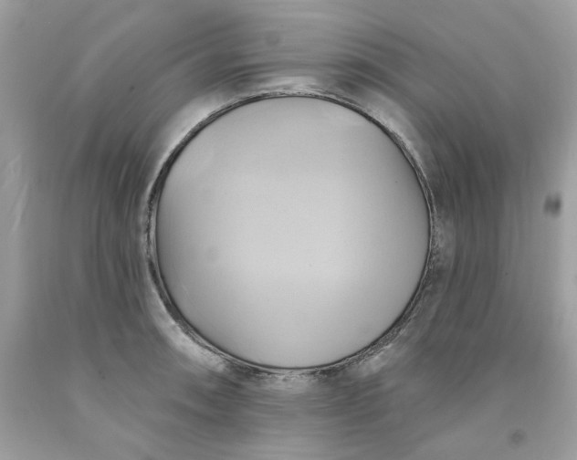 X0000091591090200709051117