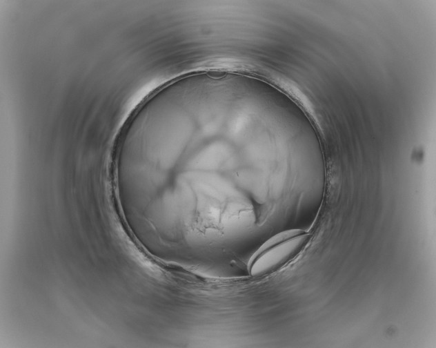 X0000091591091200709051117