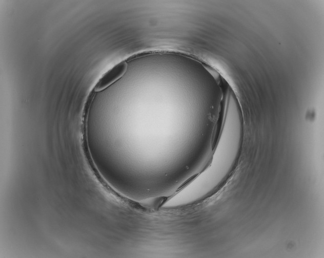 X0000091591093200709051116