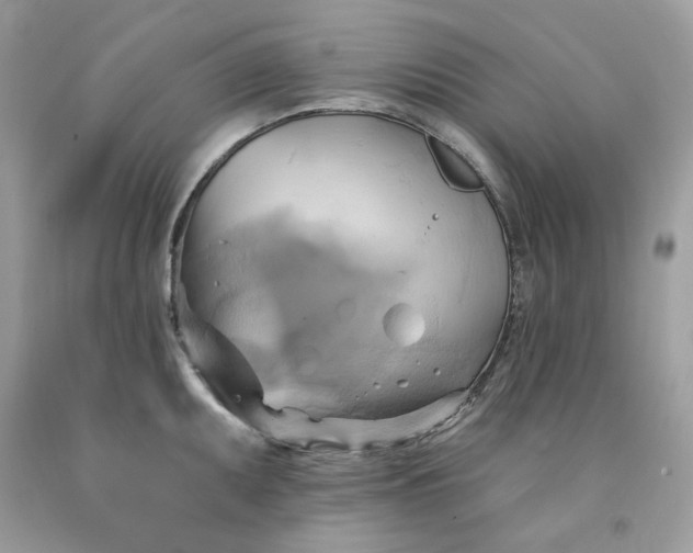 X0000091591095200709051116