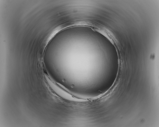 X0000091591097200709051116