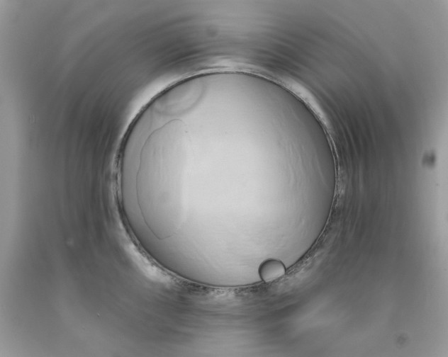 X0000091591098200709051116