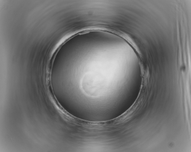 X0000091591101200709051116