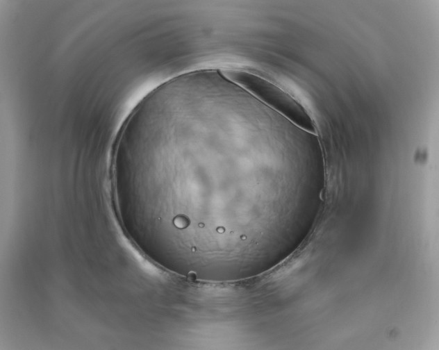 X0000091591103200709051116