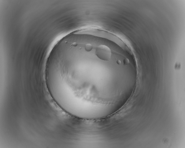 X0000091591104200709051116