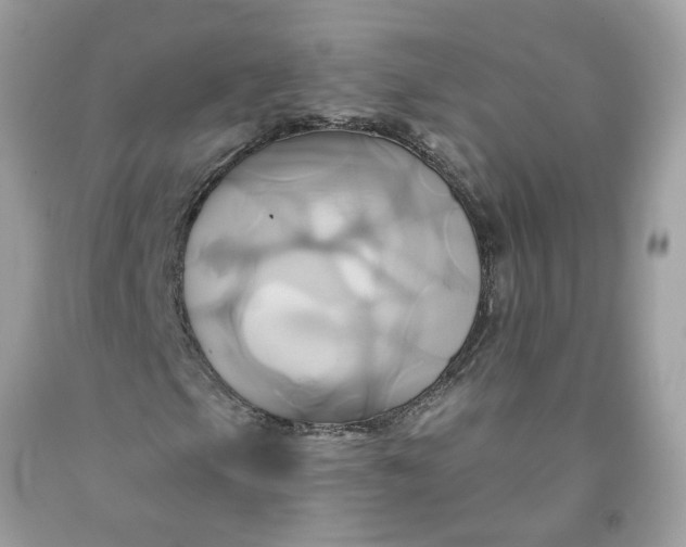 X0000091591105200709051116