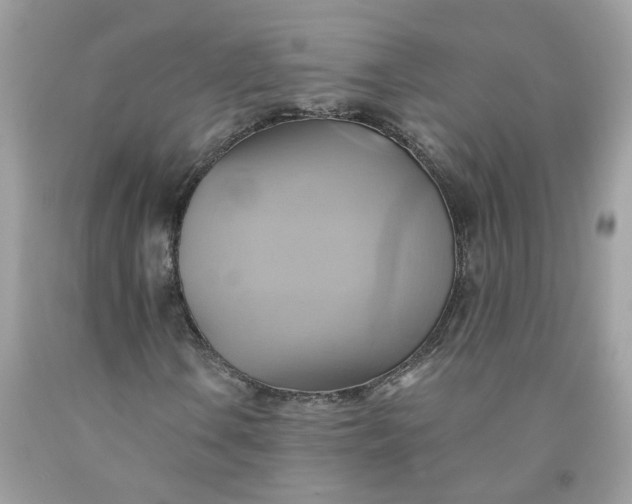 X0000091591106200709051116