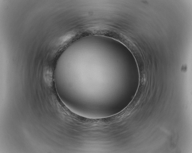 X0000091591108200709051116