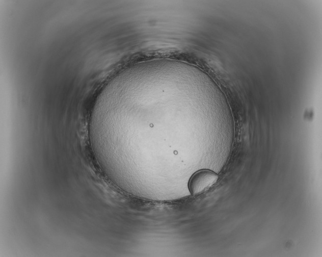 X0000091591109200709051116