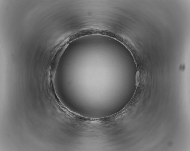 X0000091591110200709051116