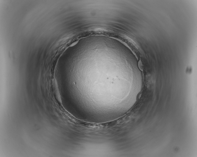 X0000091591111200709051116