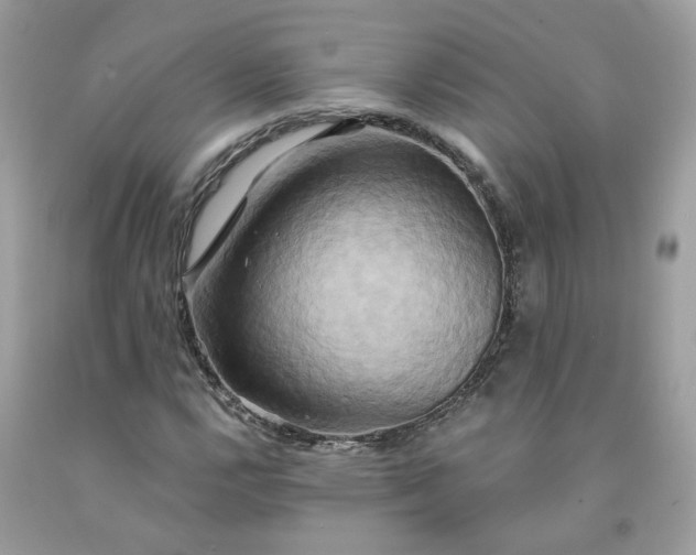 X0000091591112200709051116