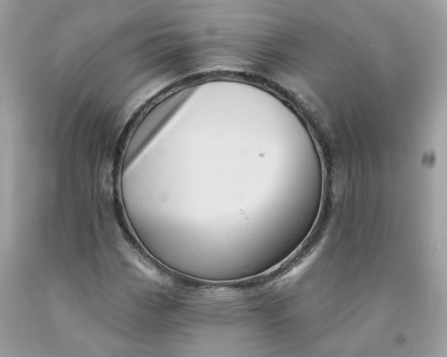 X0000091591113200709051116