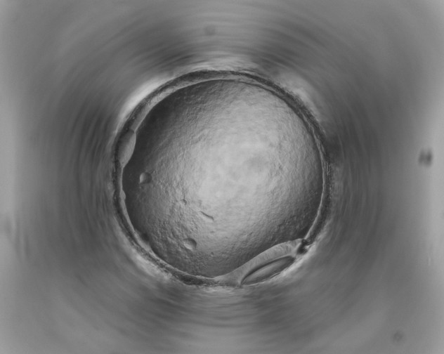 X0000091591114200709051116