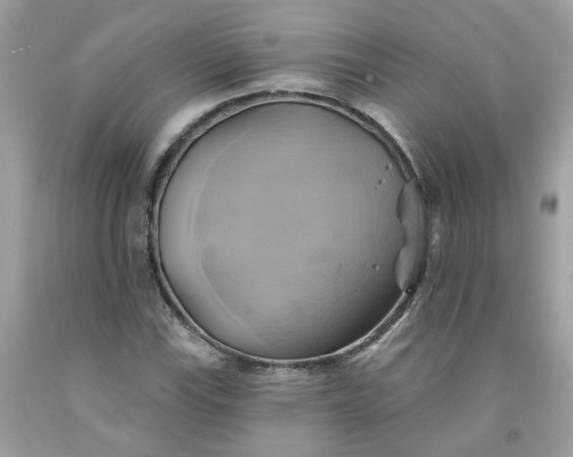 X0000091591115200709051116
