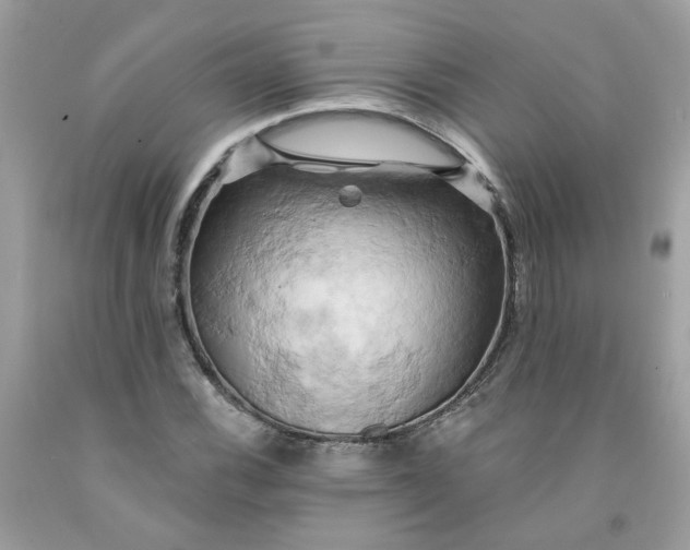 X0000091591116200709051116