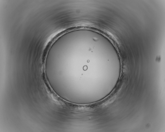 X0000091591117200709051116
