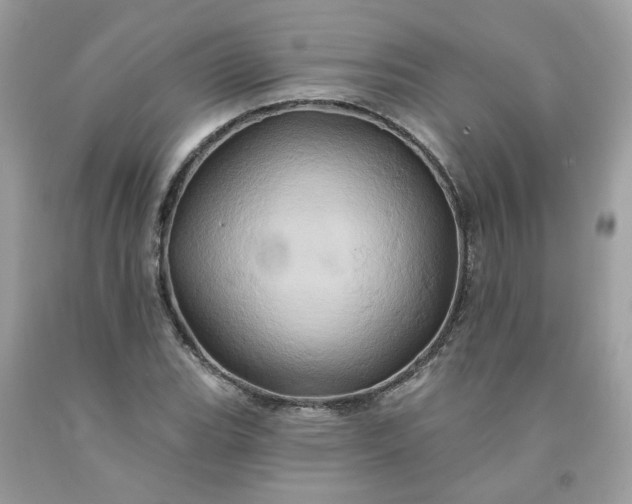 X0000091591119200709051116