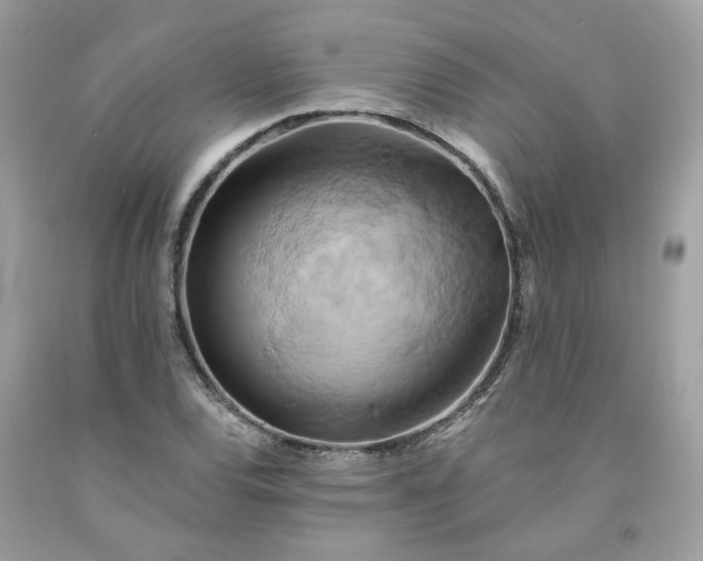 X0000091591120200709051116