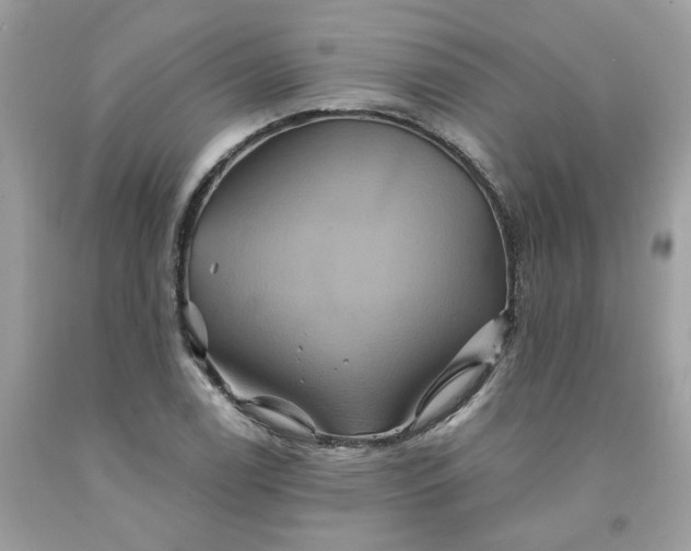 X0000091591122200709051116