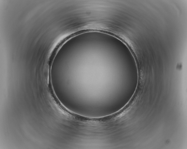 X0000091591123200709051116