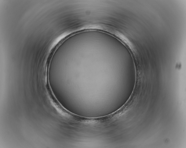 X0000091591127200709051116