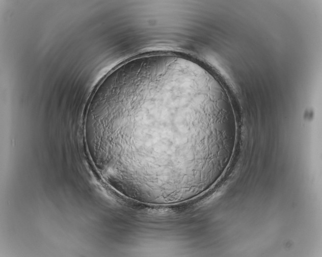 X0000091591129200709051116