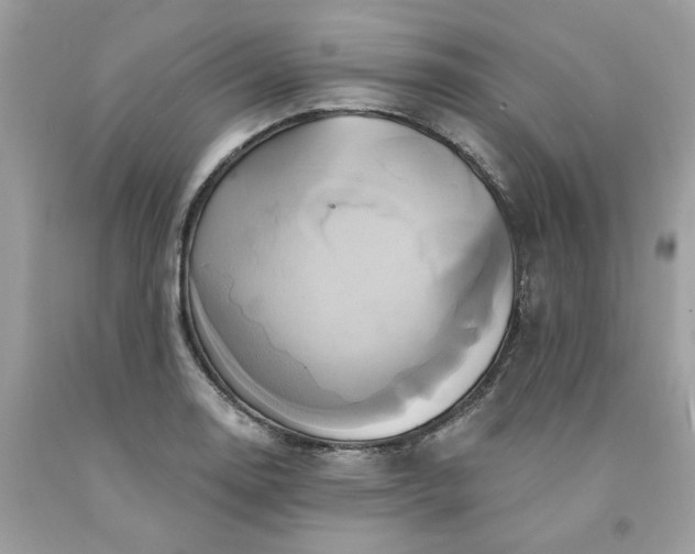 X0000091591130200709051116