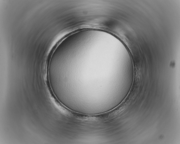 X0000091591131200709051116
